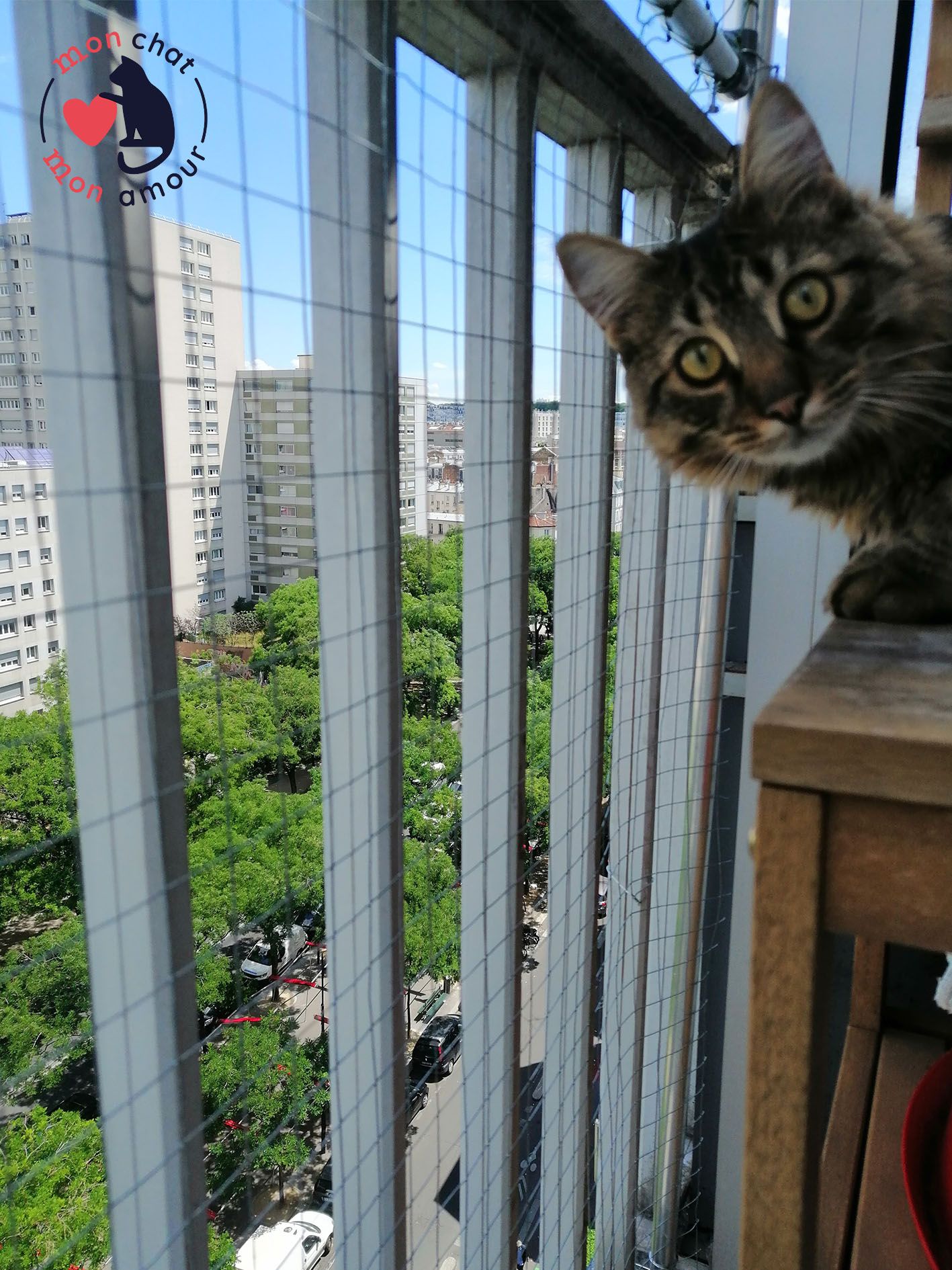 découvrez des conseils pratiques et des solutions efficaces pour sécuriser le balcon de votre chat, afin qu'il puisse profiter de l'extérieur en toute sécurité. protégez votre animal des chutes et des accidents avec nos astuces et produits recommandés.